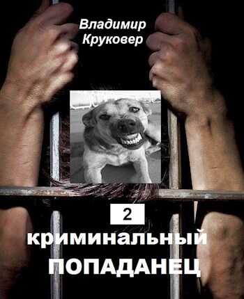 Обложка книги Криминальный попаданец 2