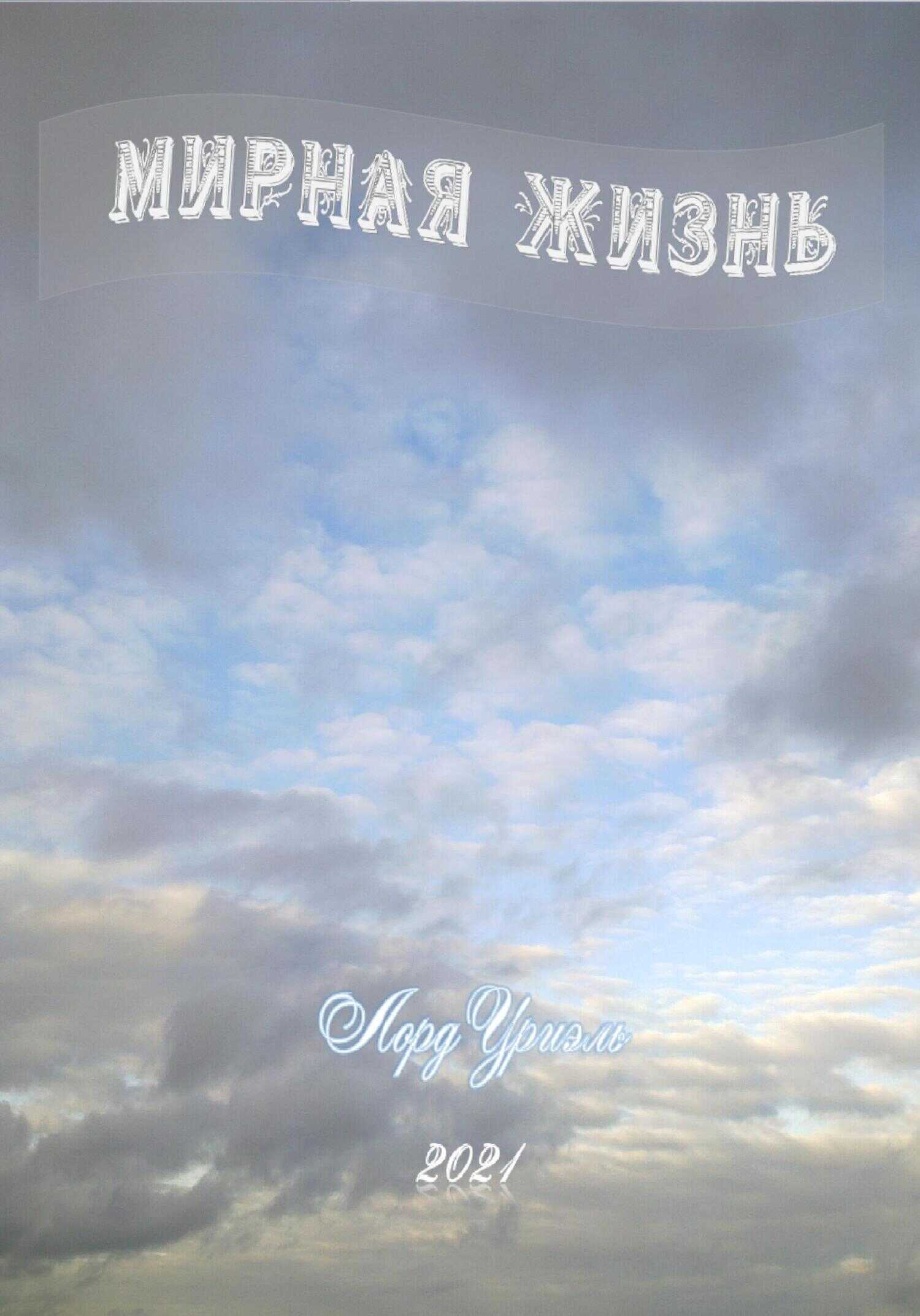 Обложка книги Мирная жизнь