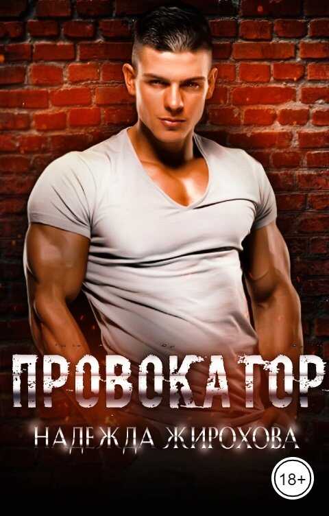 Обложка книги Провокатор