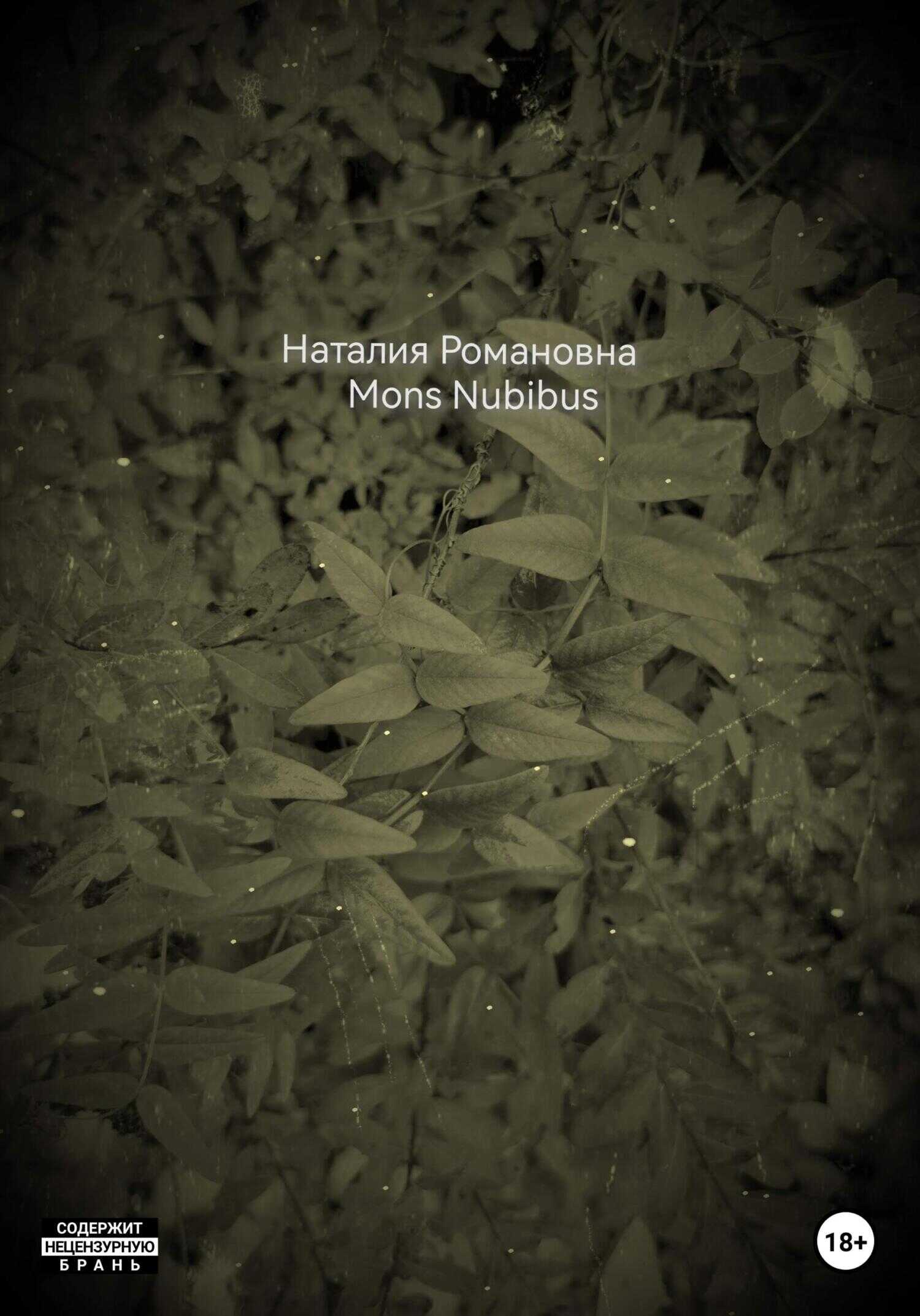 Обложка книги Mons Nubibus