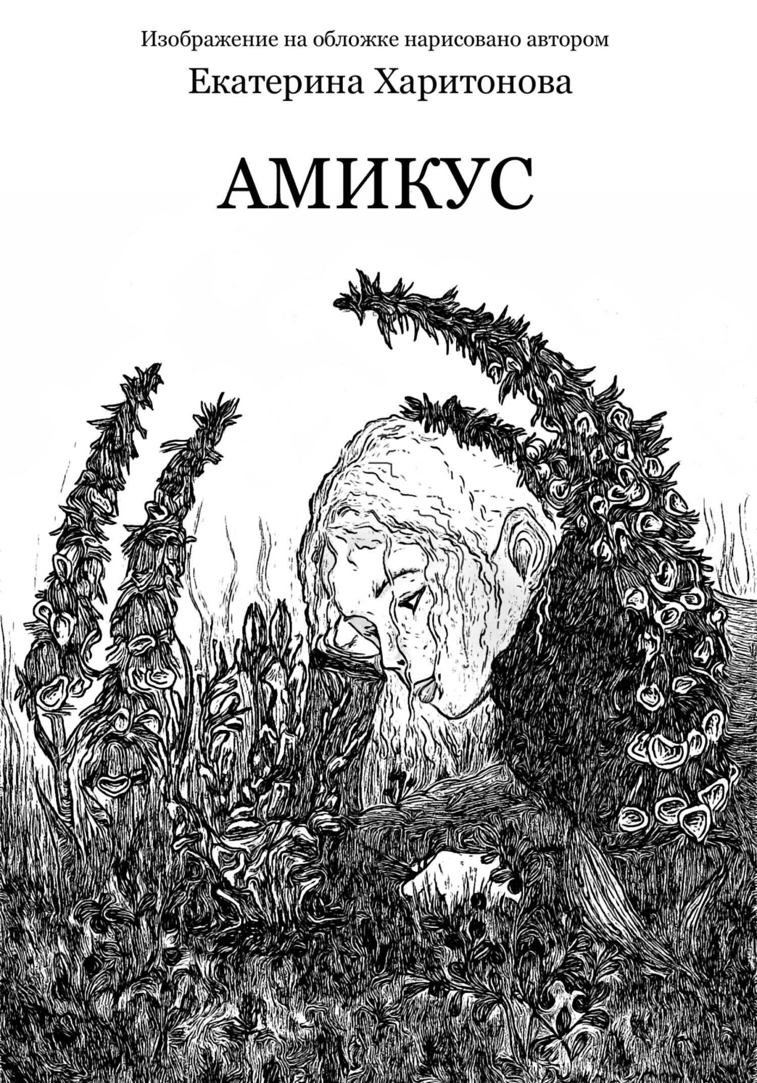 Обложка книги Амикус