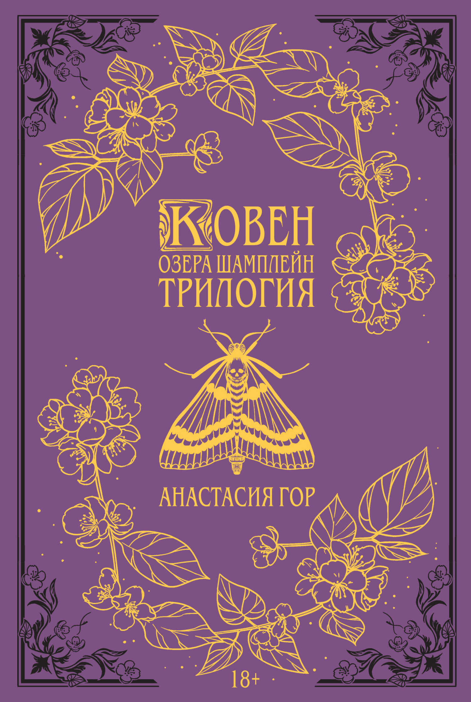 Обложка книги Ковен озера Шамплейн