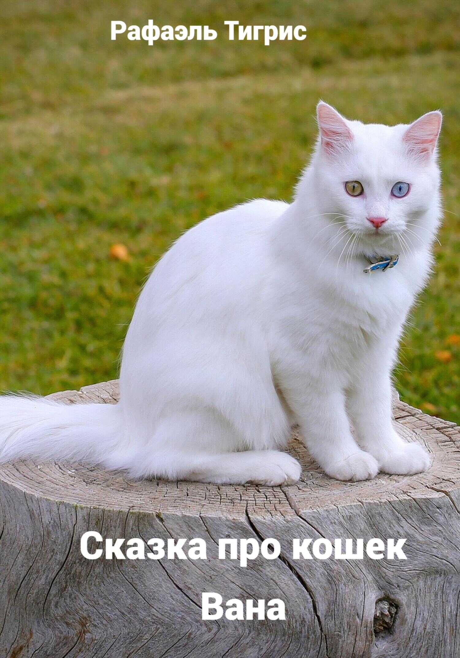Обложка книги Сказка про кошек Вана