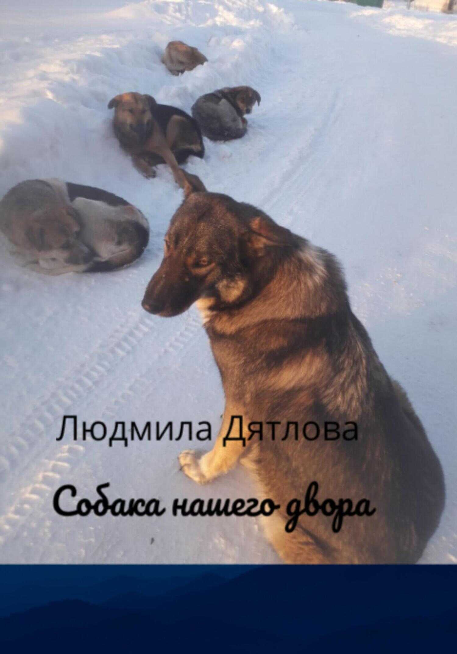 Обложка книги Собака нашего двора