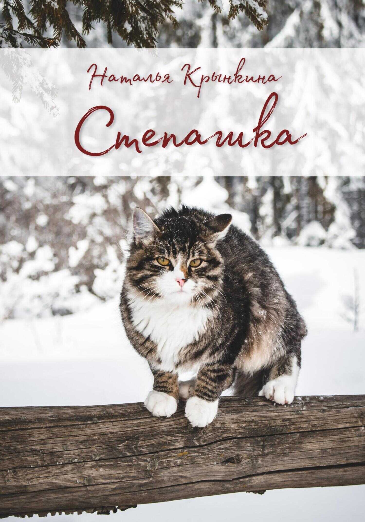 Обложка книги Степашка
