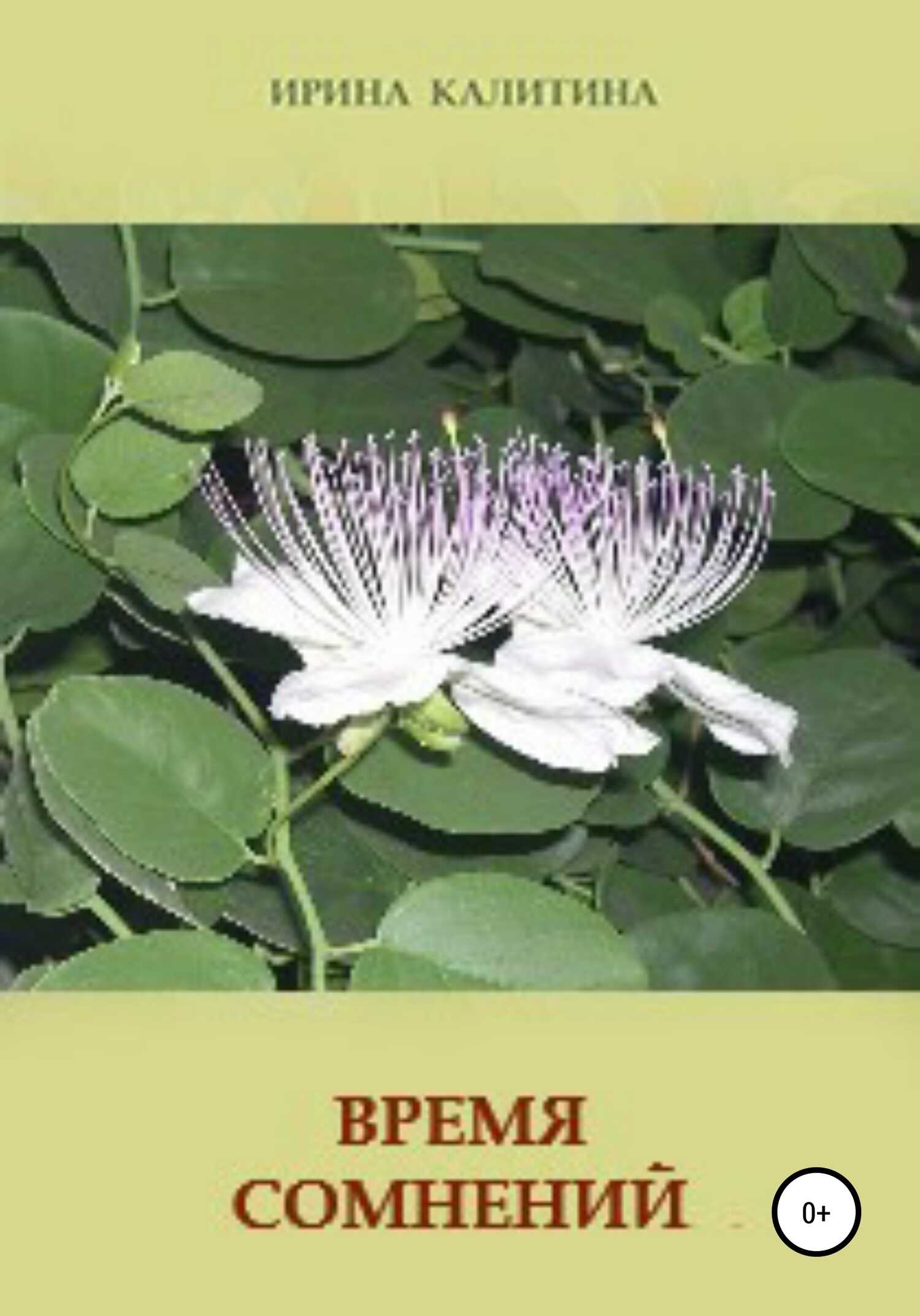 Обложка книги Время сомнений
