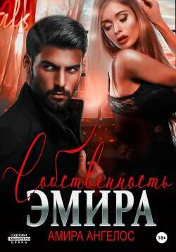 Обложка книги Собственность Эмира