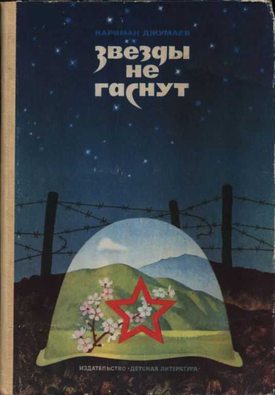 Обложка книги Звезды не гаснут