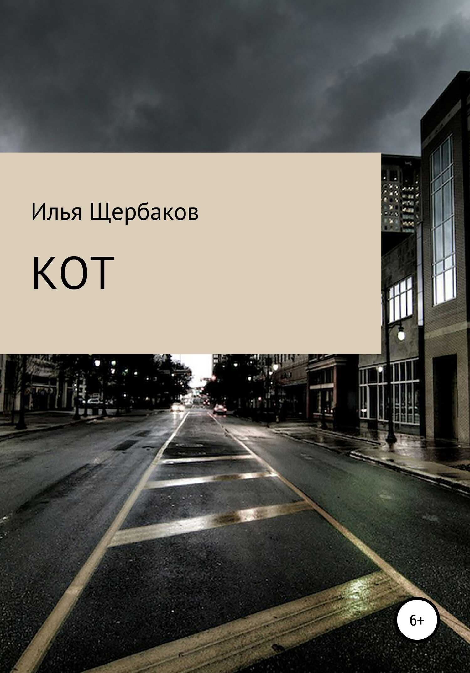Обложка книги Кот