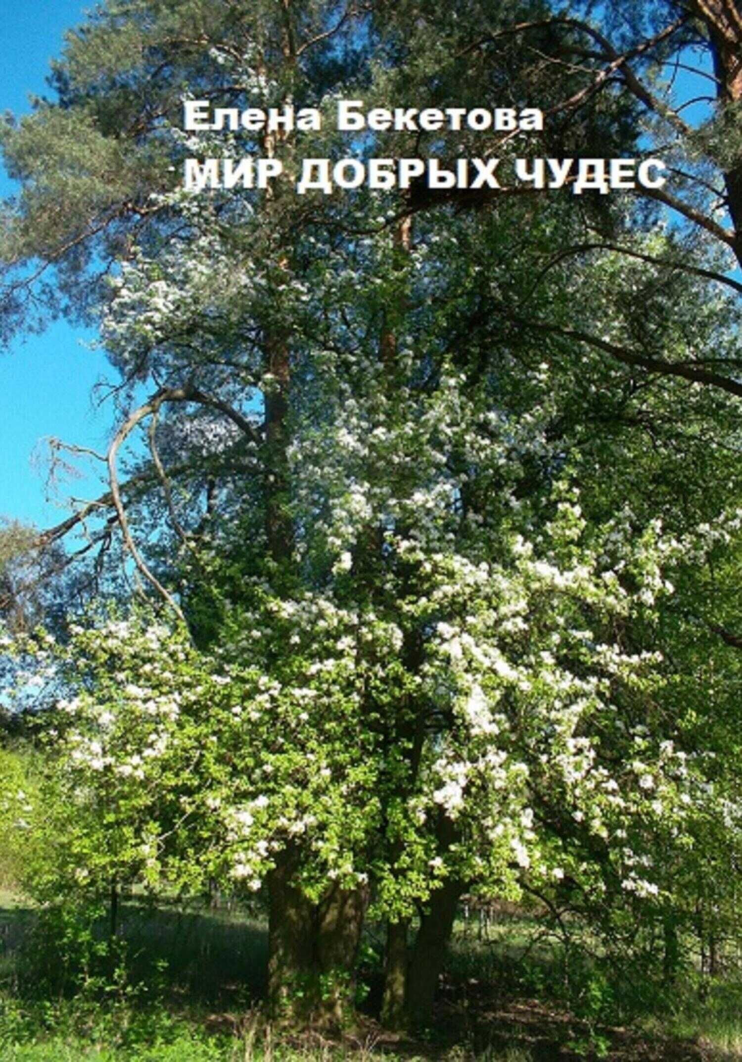 Обложка книги Мир добрых чудес