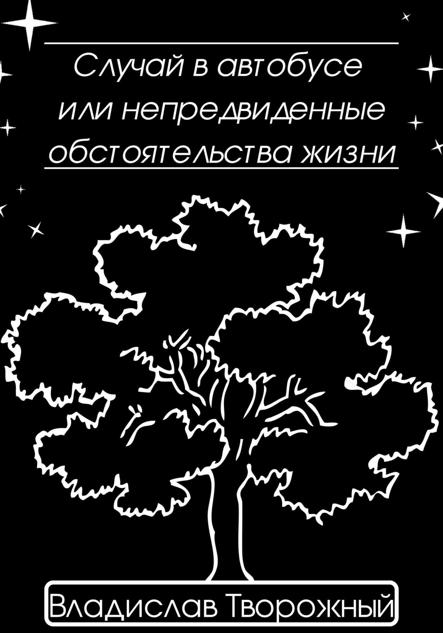 Обложка книги Случай в автобусе, или Непредвиденные обстоятельства жизни