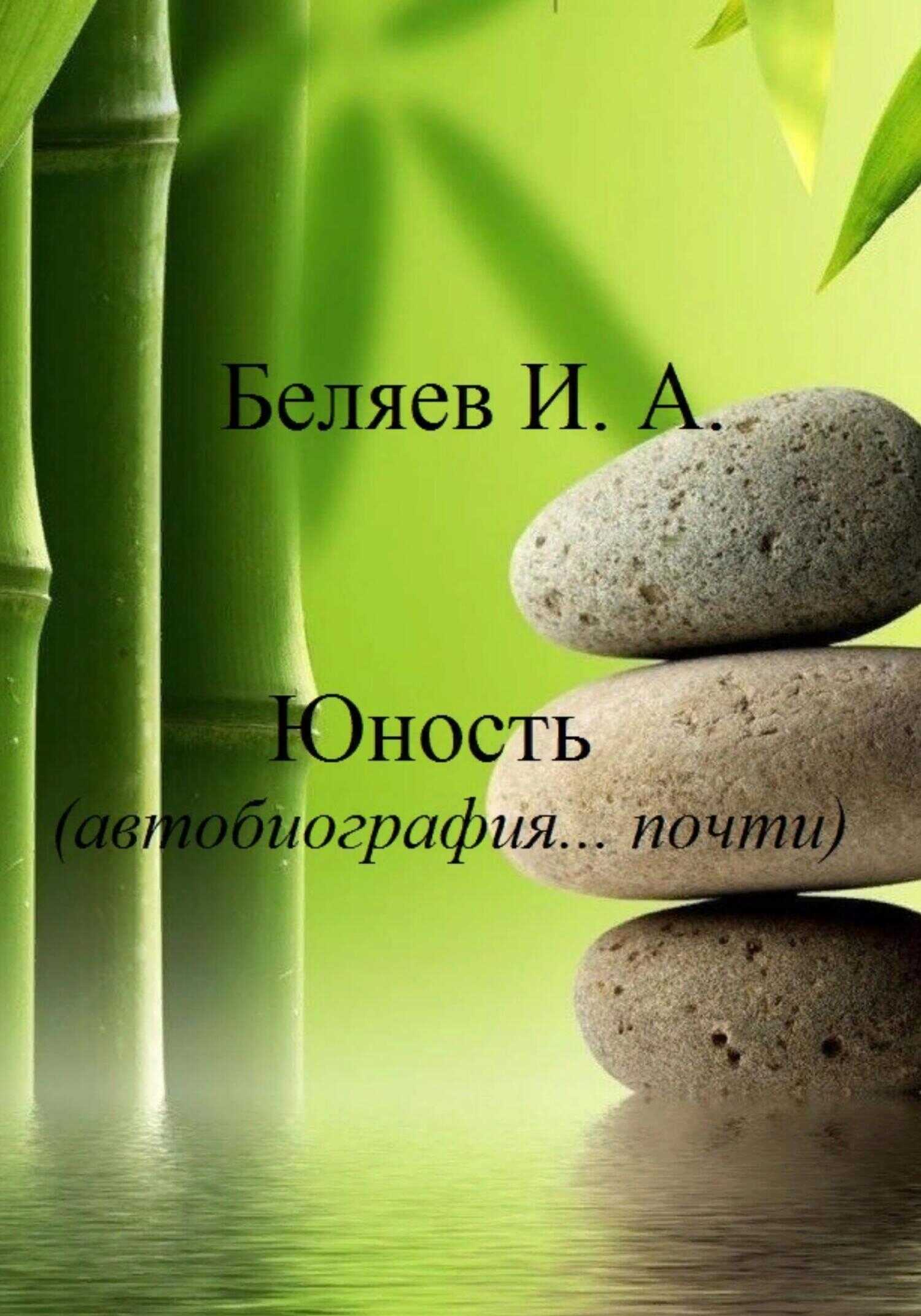 Обложка книги Юность. Автобиография… почти. Книга вторая. Цикл «Додекаэдр. Серебряный аддон»