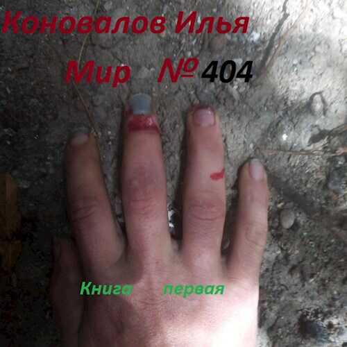 Обложка книги Мир № 404