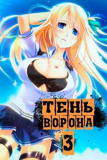 Обложка книги Тень Ворона 3