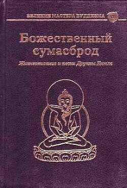 Обложка книги Божественный сумасброд