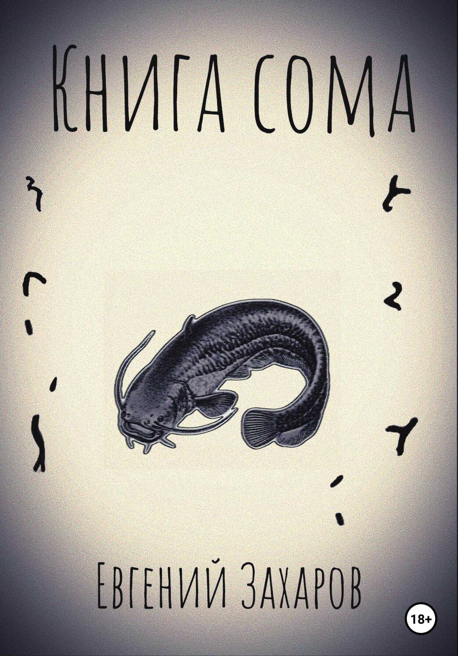 Обложка книги Книга сома