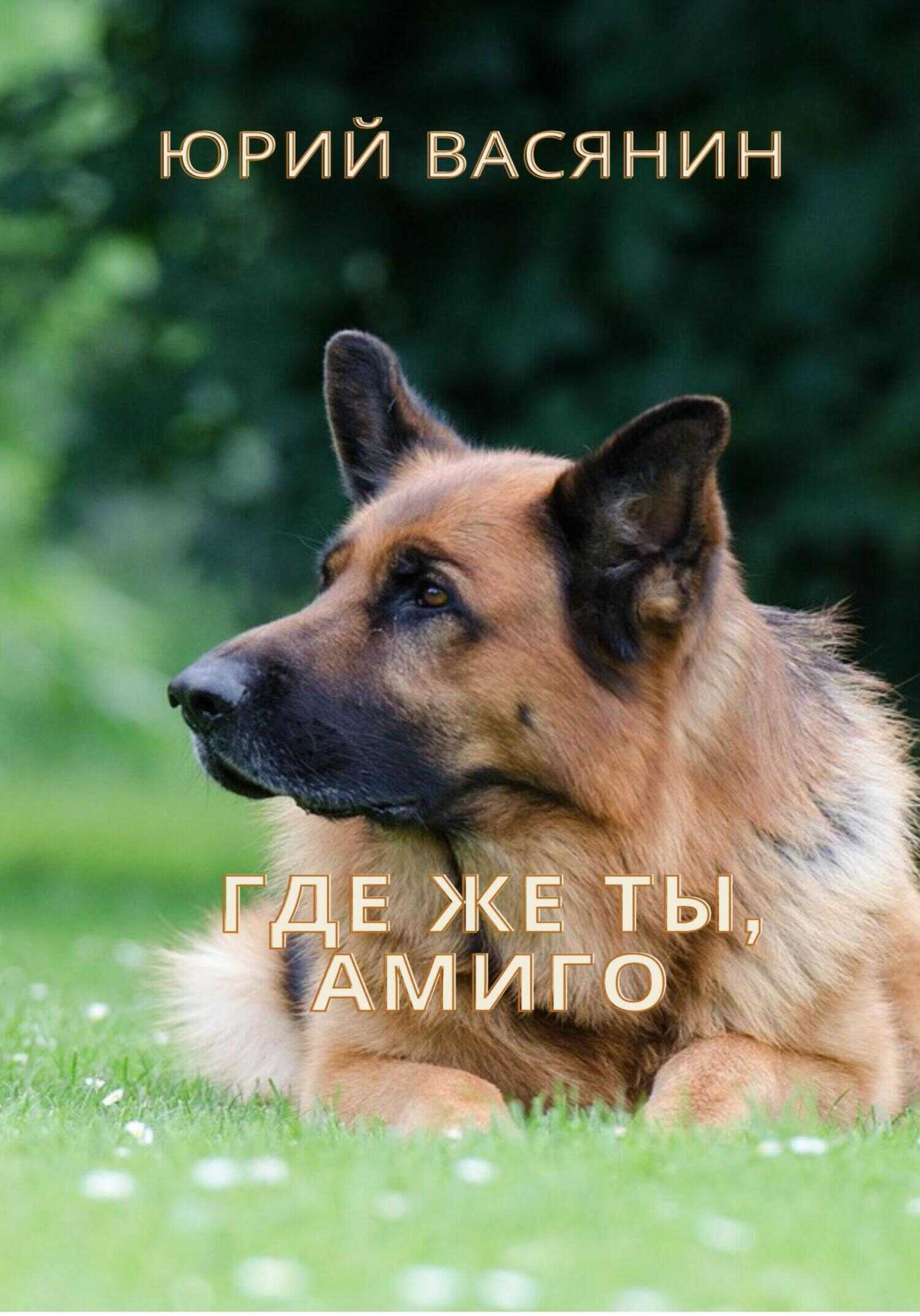 Обложка книги Где же ты, Амиго?