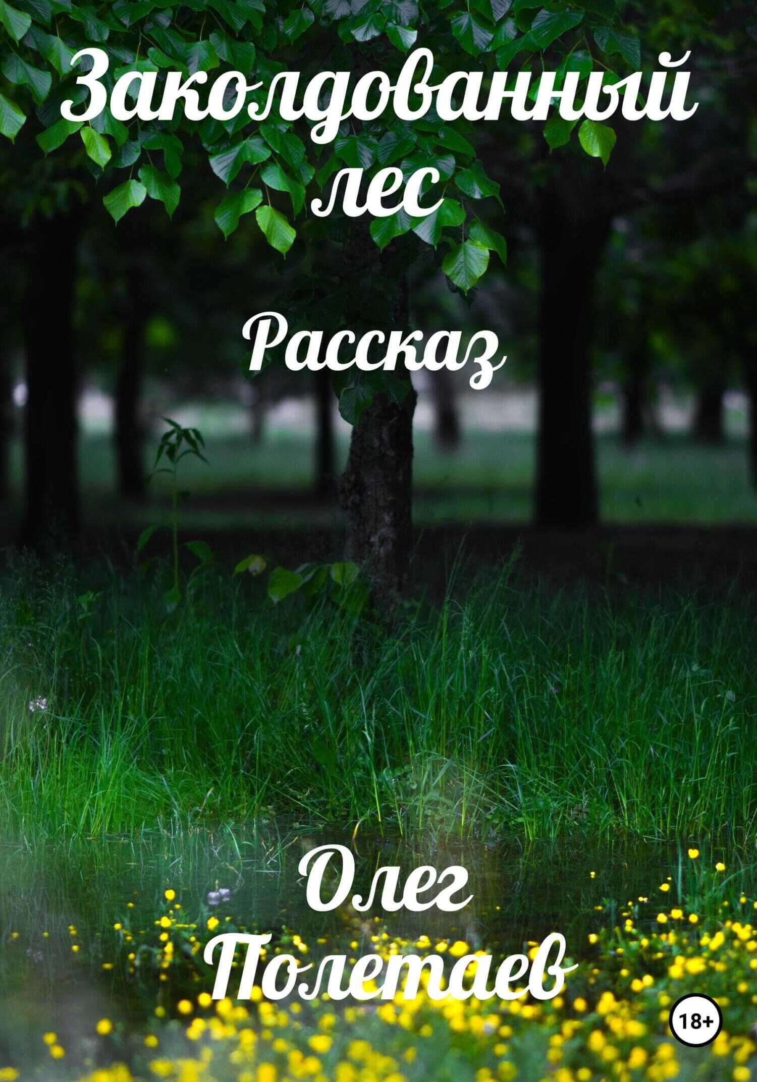 Обложка книги Заколдованный лес