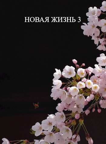 Обложка книги Новая жизнь 3