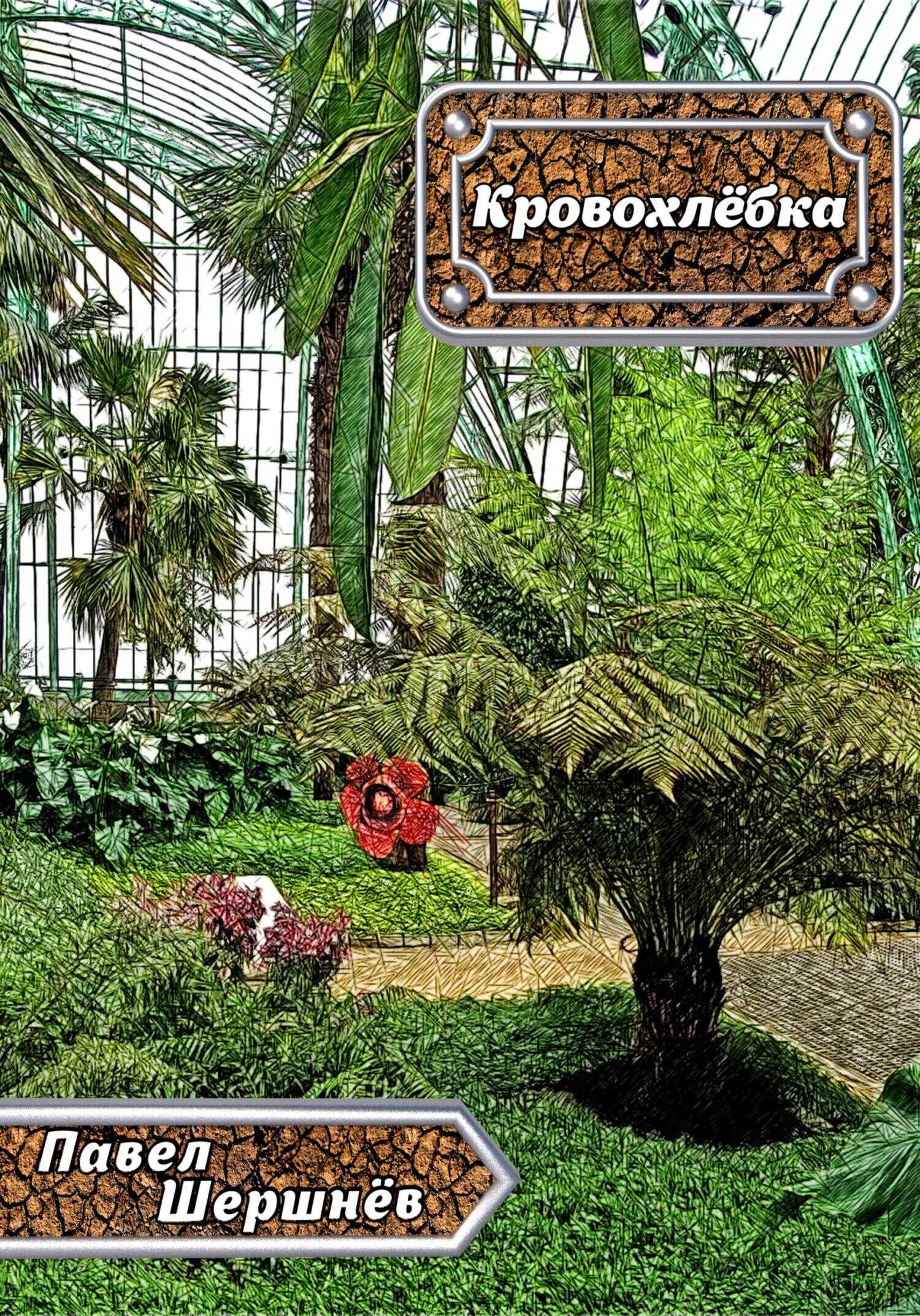 Обложка книги Кровохлёбка