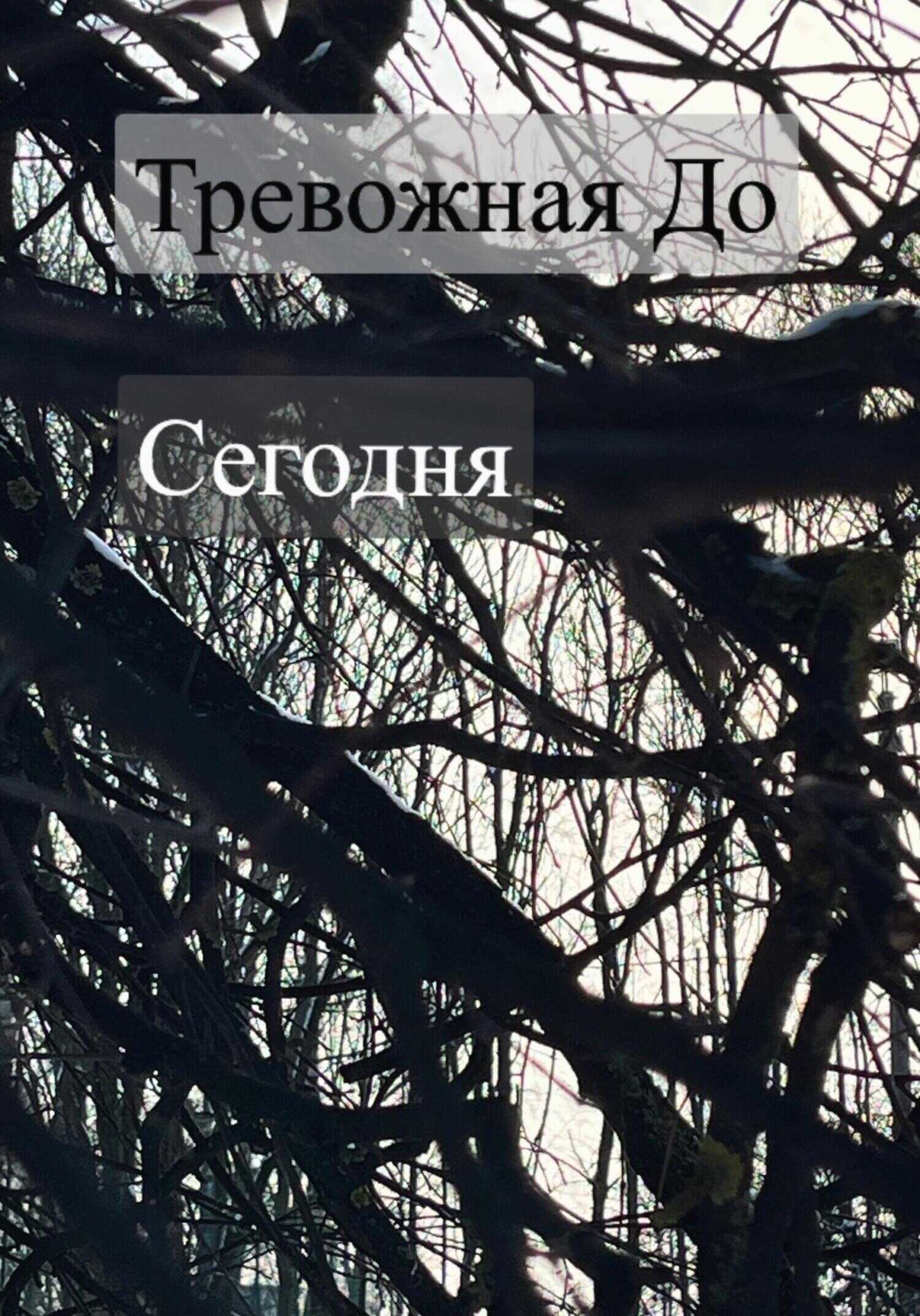Обложка книги Сегодня