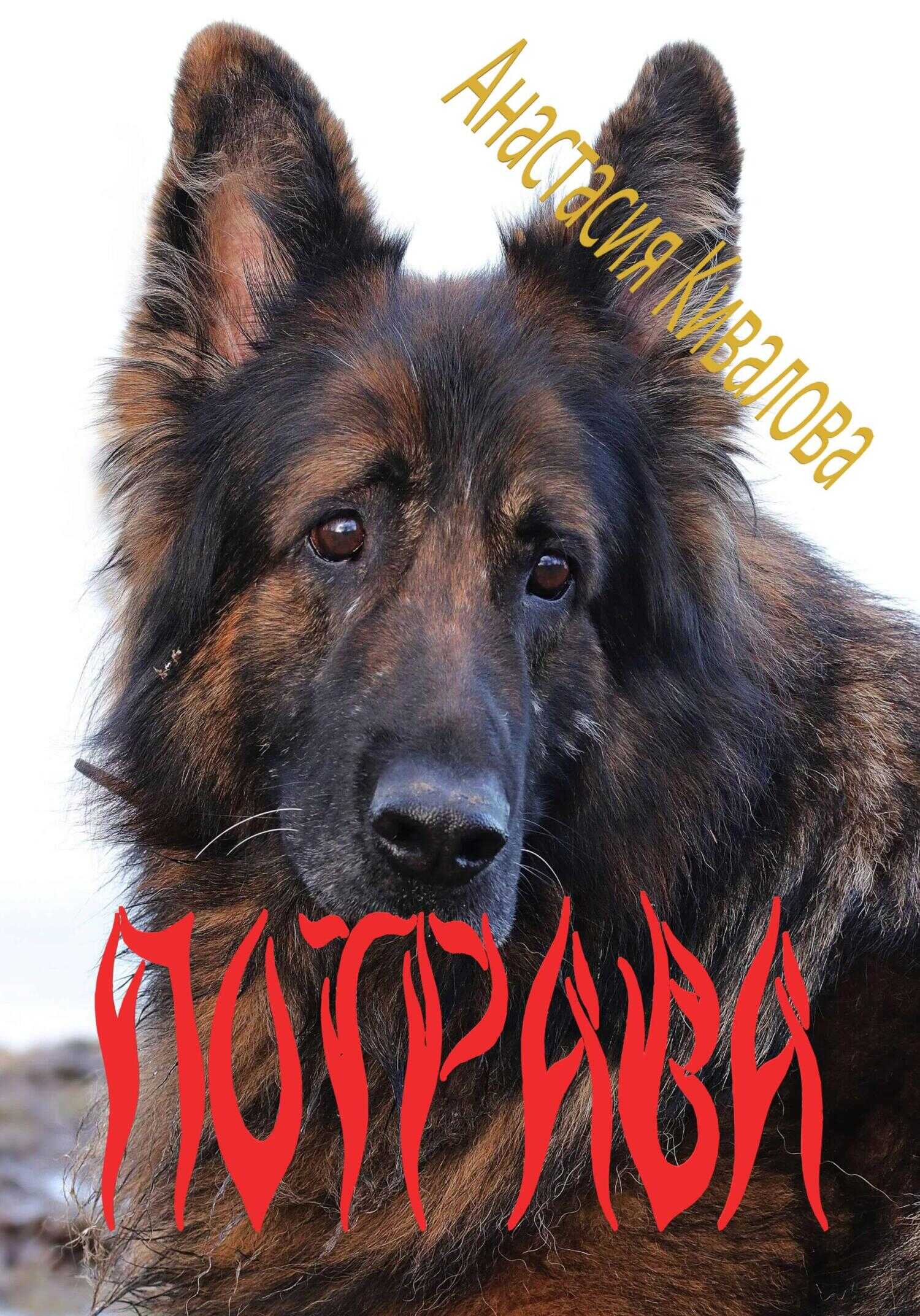 Обложка книги Потрава