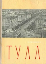 Обложка книги Тула. Экономико-географический очерк