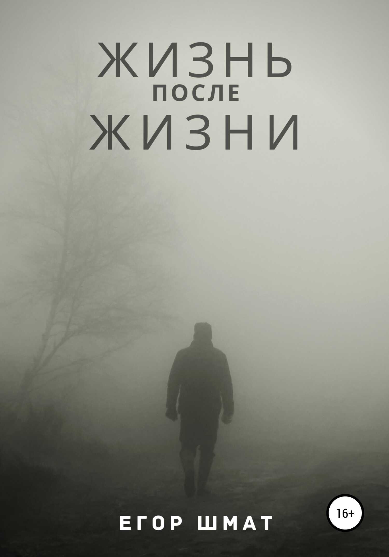 Обложка книги Жизнь после Жизни