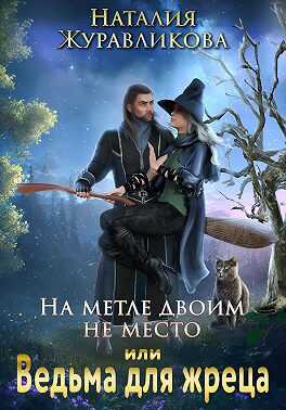 Обложка книги На метле двоим не место, или Ведьма для жреца
