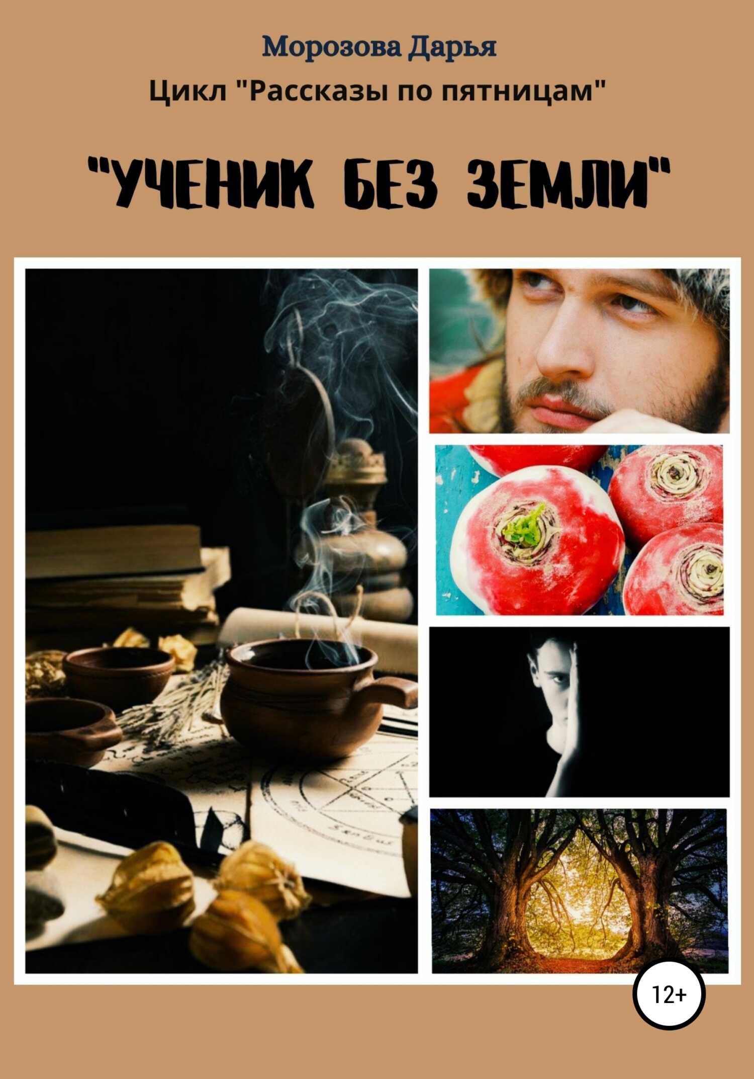 Обложка книги Ученик без земли