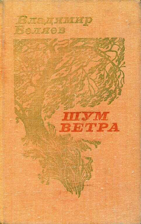 Обложка книги Шум ветра