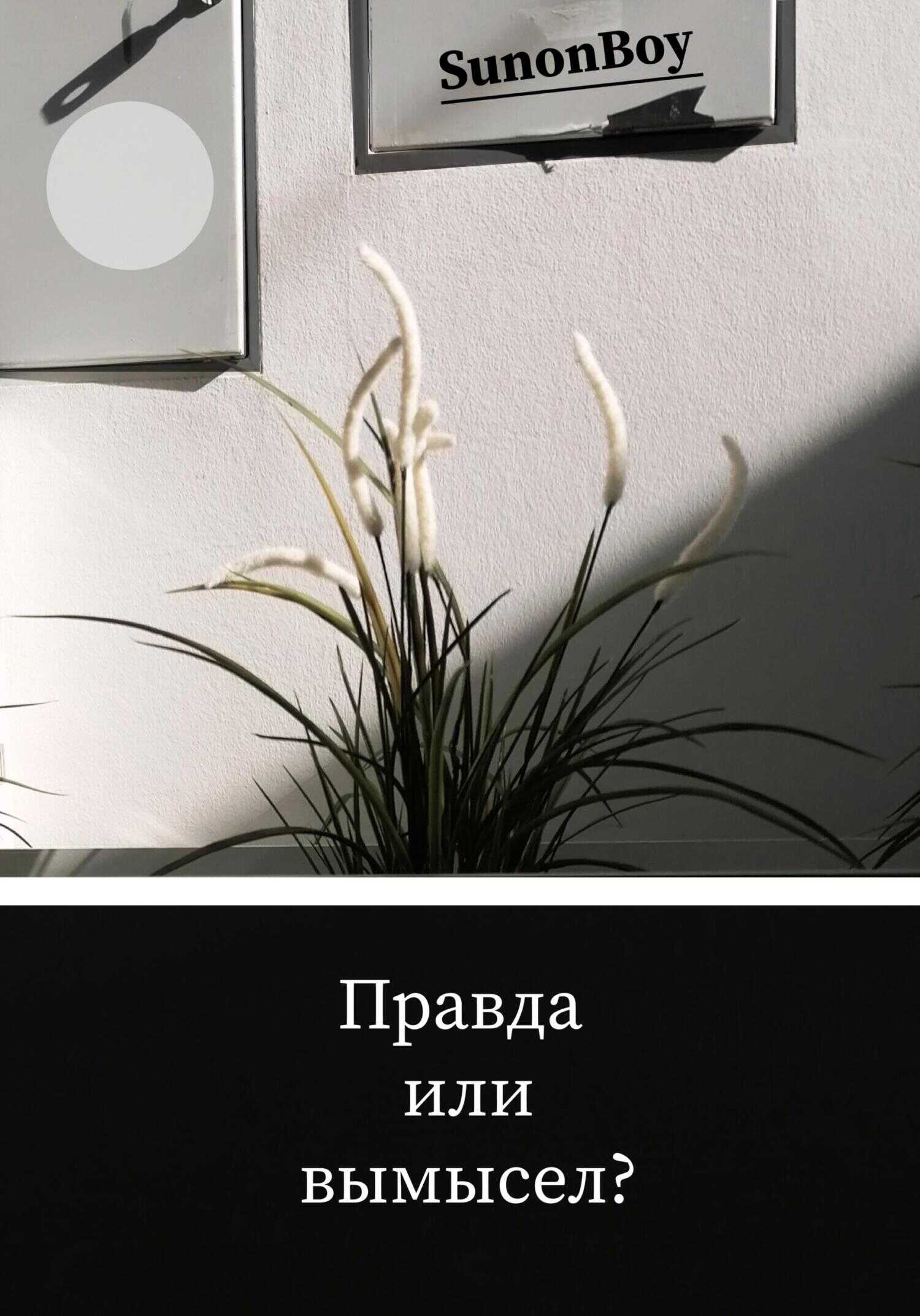 Обложка книги Правда или вымысел?