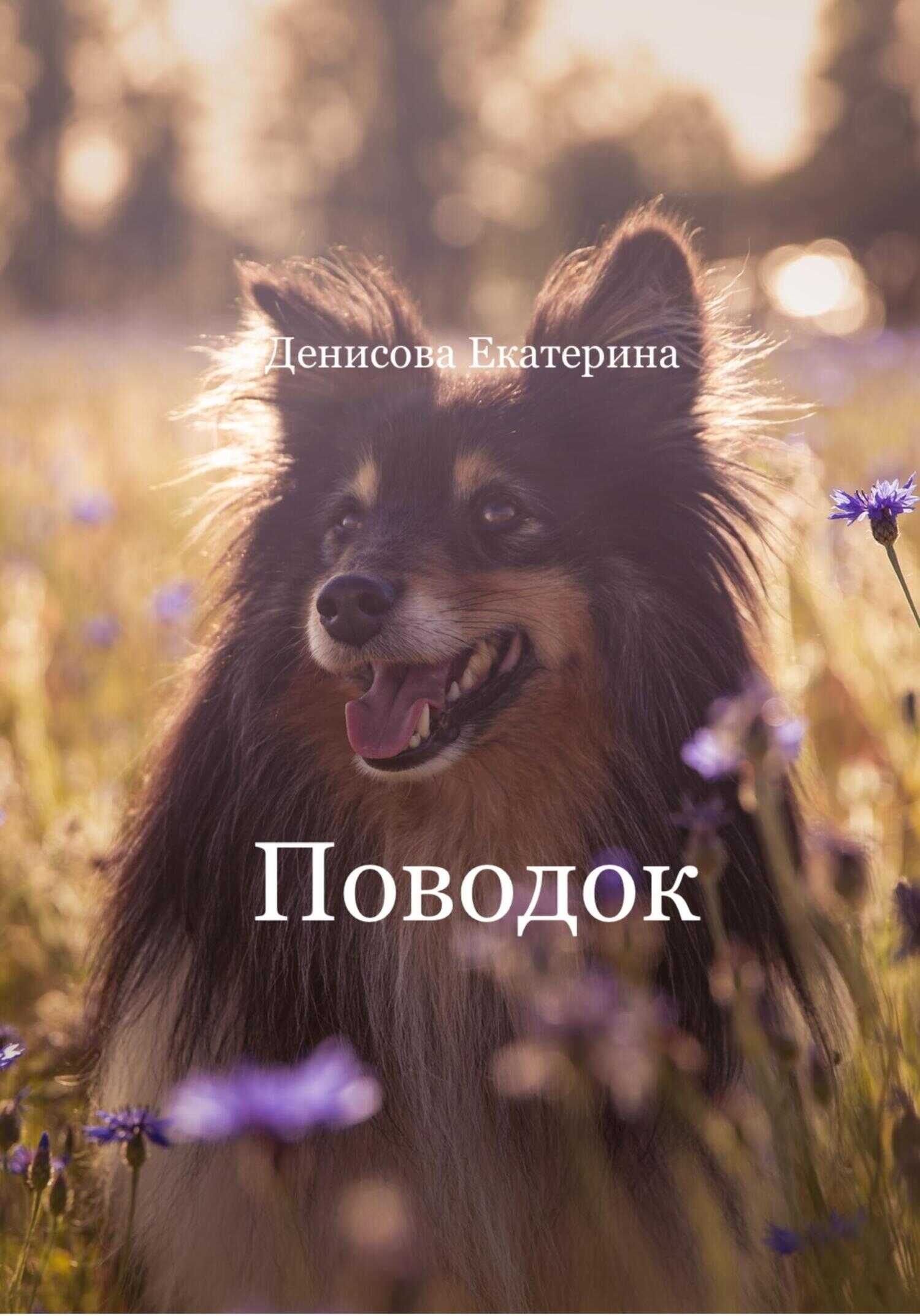 Обложка книги Поводок