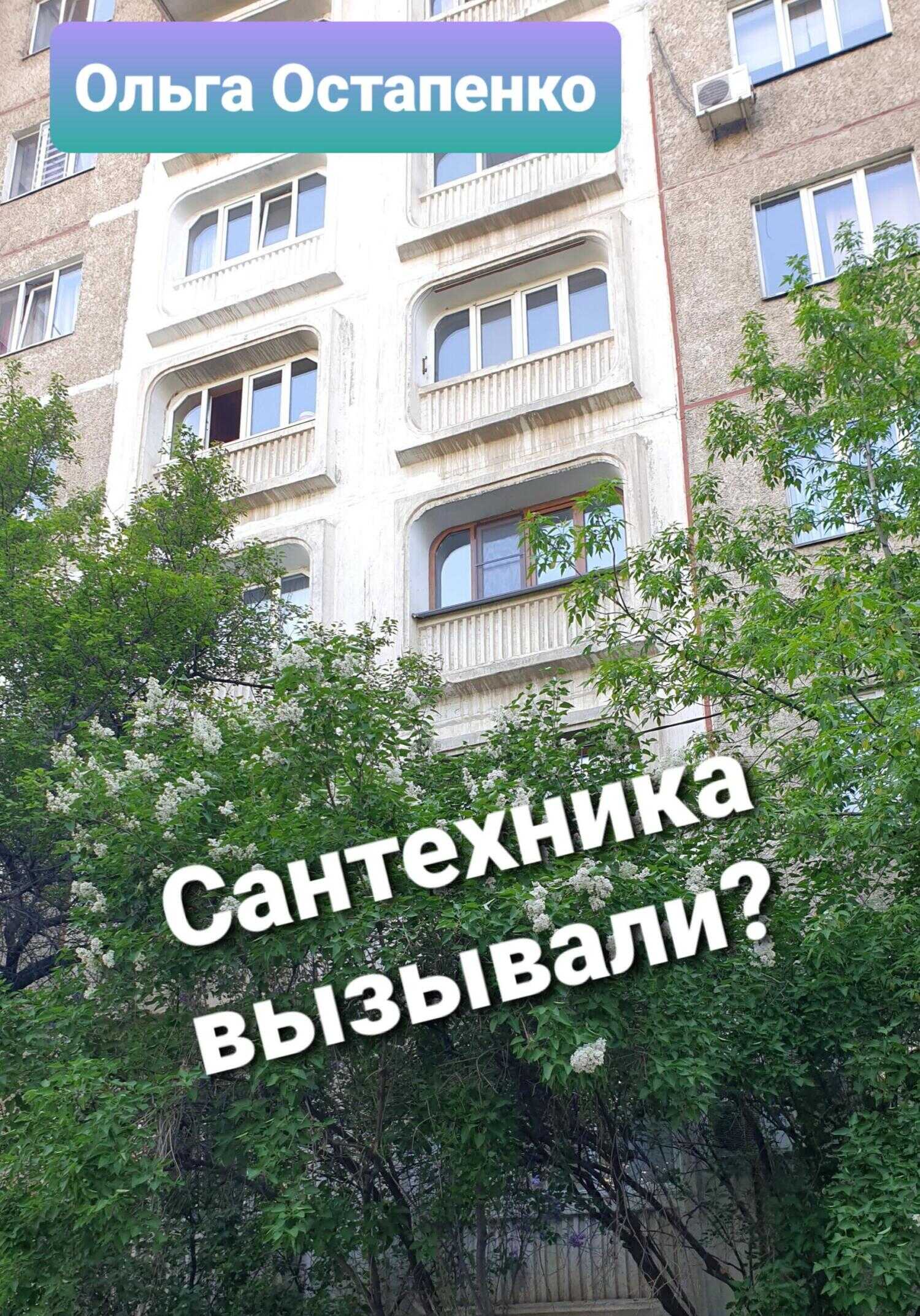 Обложка книги Сантехника вызывали?