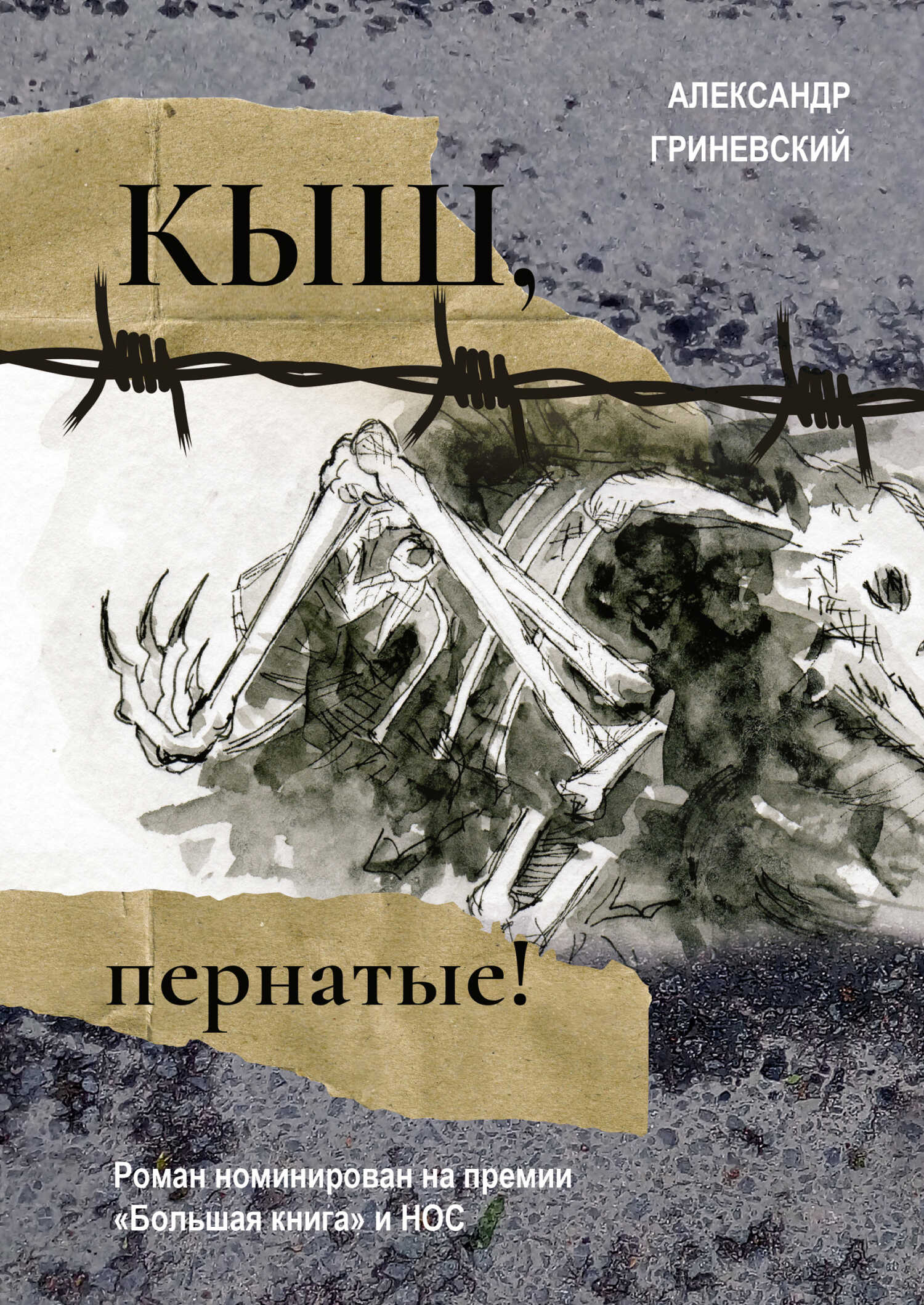 Обложка книги Кыш, пернатые!