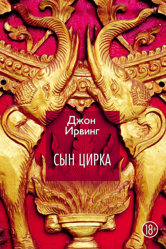 Обложка книги Сын цирка