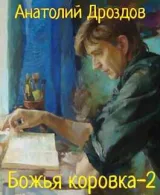 Обложка книги Божья коровка-2