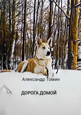 Обложка книги Дорога домой