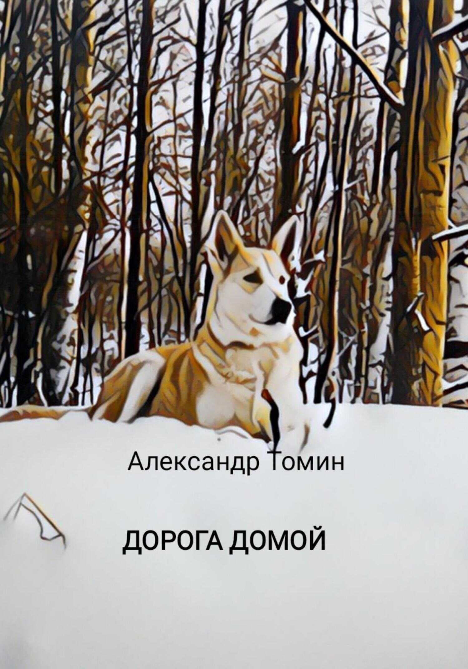 Обложка книги Дорога домой