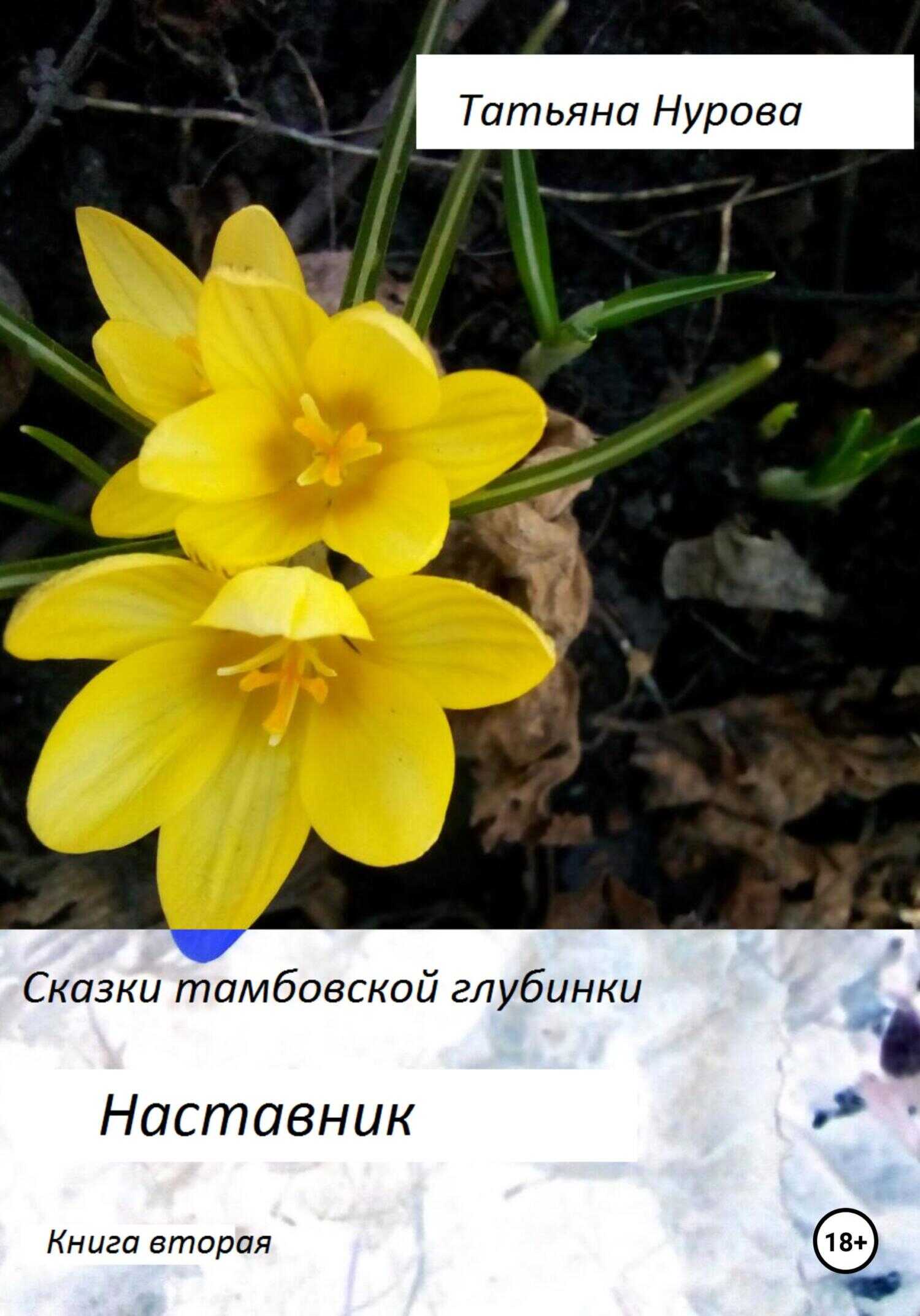 Обложка книги Сказки тамбовской глубинки. Вторая книга. Наставник