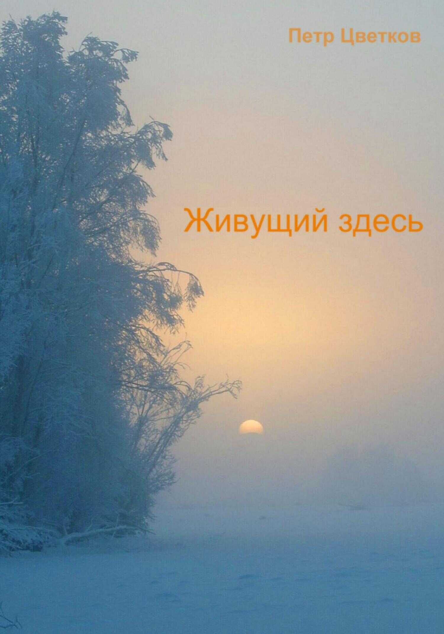 Обложка книги Живущий здесь