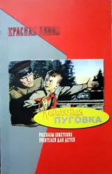 Обложка книги Коричневая пуговка