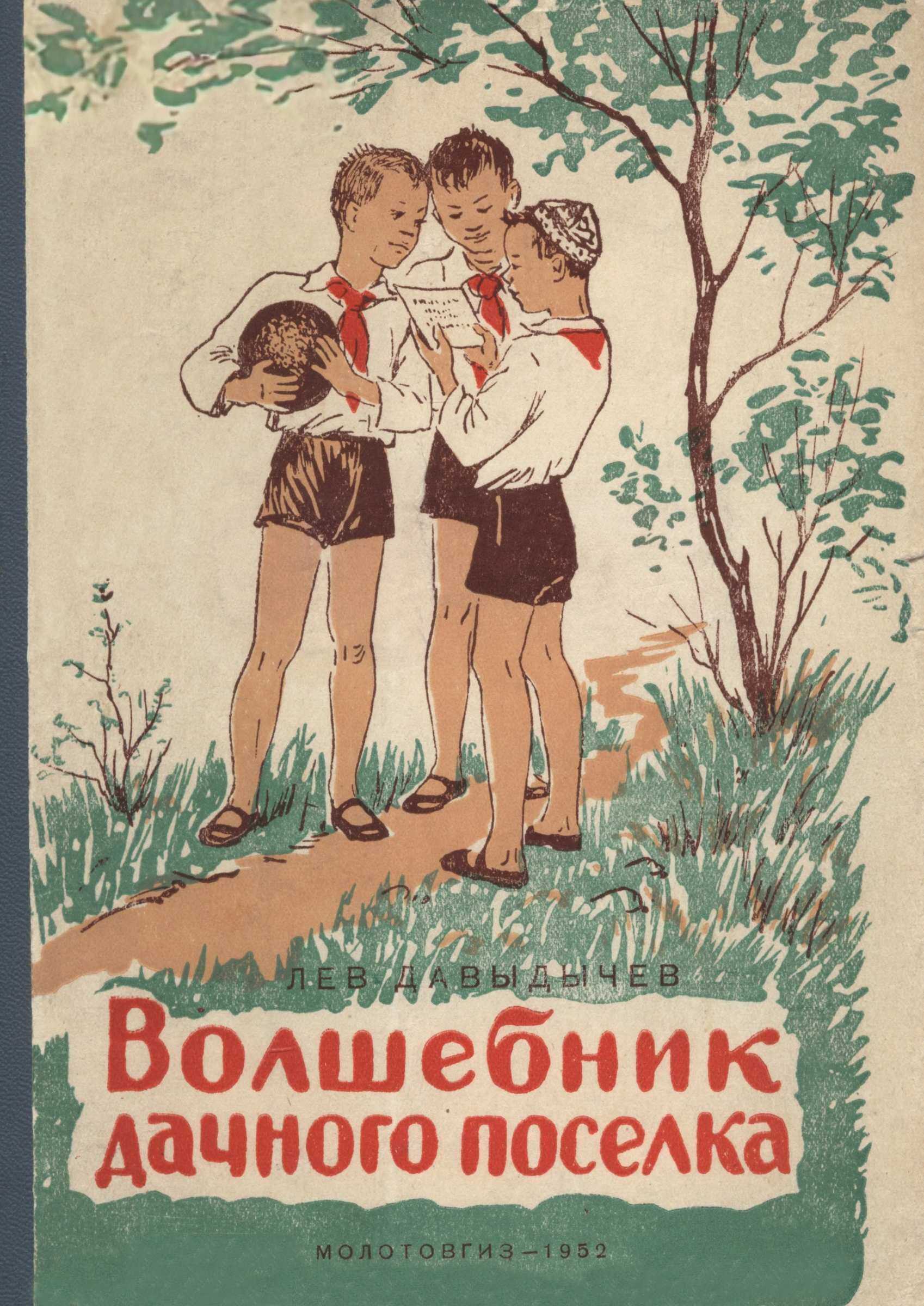 Обложка книги Волшебник дачного посёлка