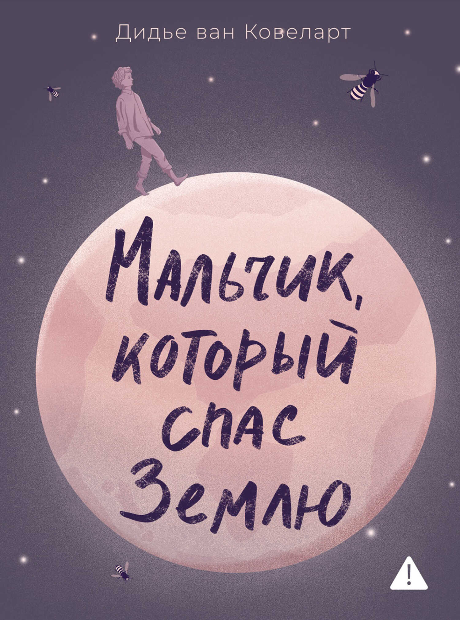 Обложка книги Мальчик, который спас Землю