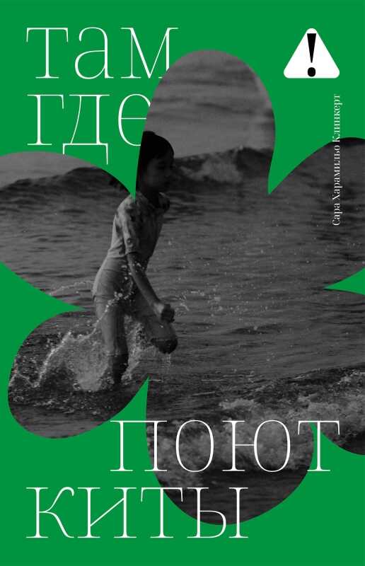 Обложка книги Там, где поют киты