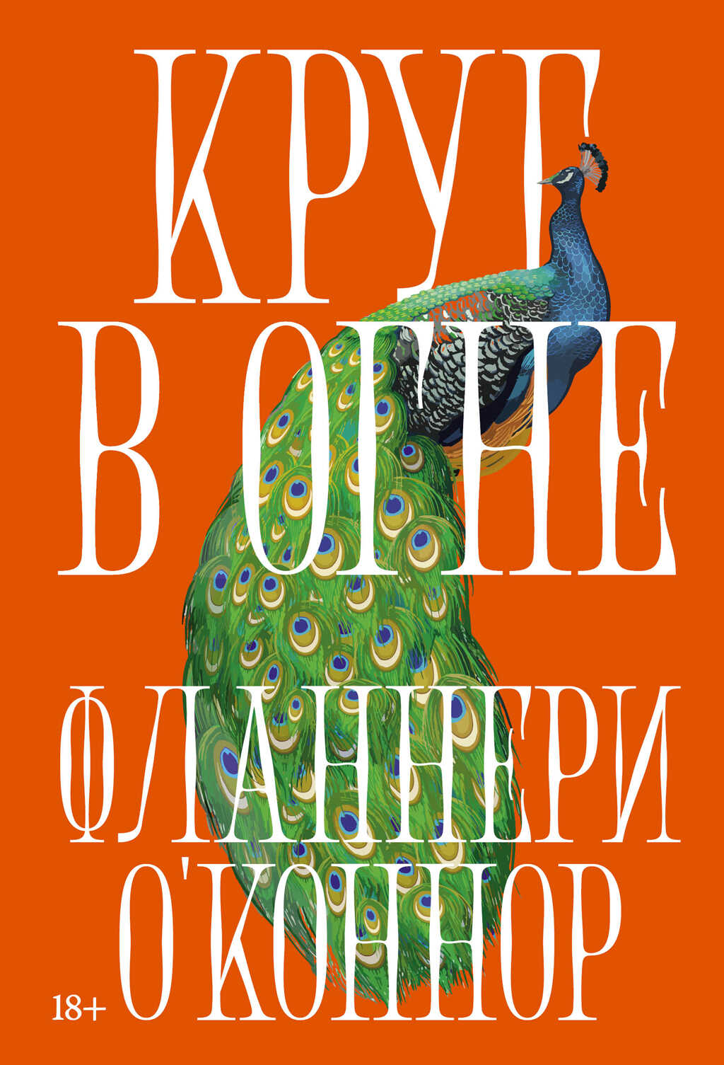 Обложка книги Круг в огне: Рассказы