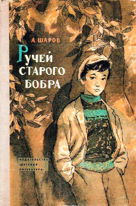 Обложка книги Ручей старого бобра