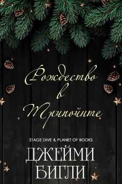 Обложка книги Рождество в Трипойнте