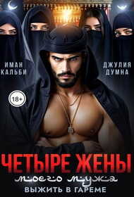 Обложка книги Четыре жены моего мужа. Выжить в гареме