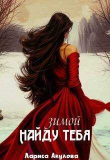 Обложка книги Найду тебя зимой
